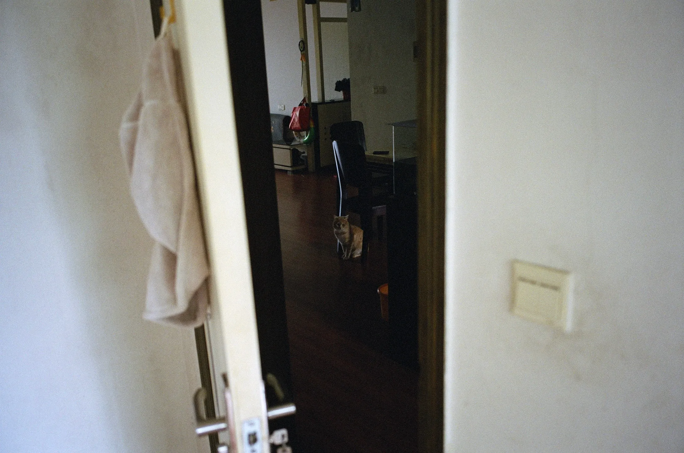 the here, the there, photograph 5