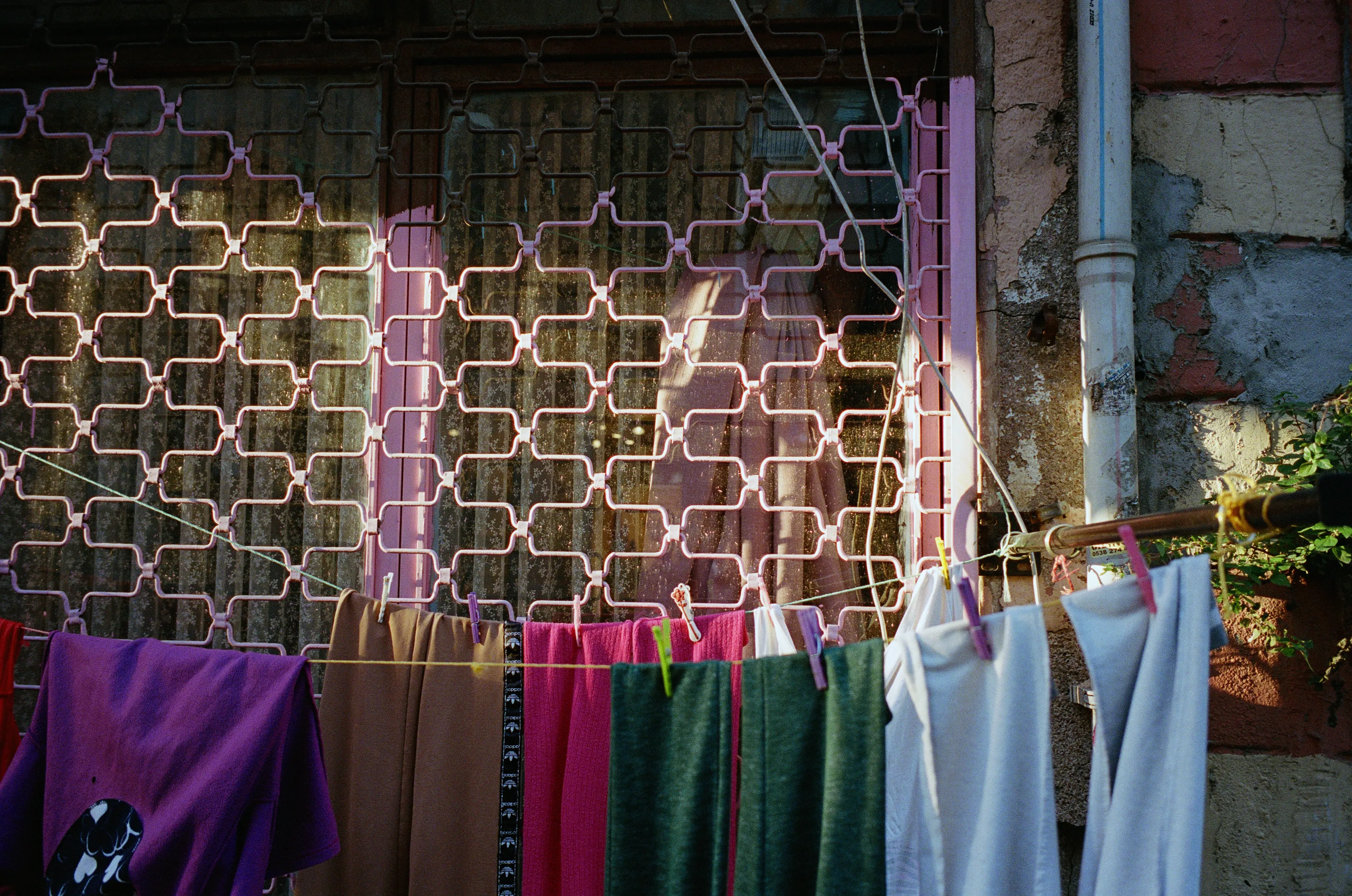 the here, the there, photograph 10